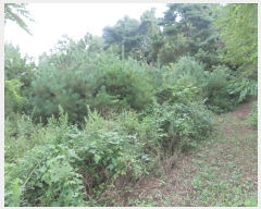  2025Ÿ��42309  �Ӿ߰��