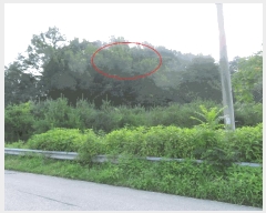  2025Ÿ��42309  �Ӿ߰��