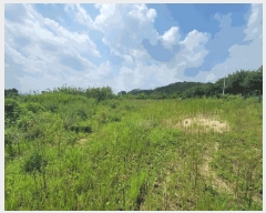  2025Ÿ��42310  �����