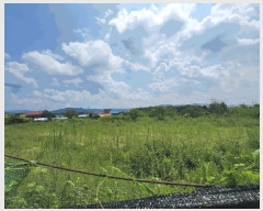  2025Ÿ��42310  �����