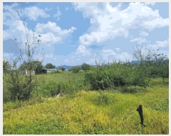  2025Ÿ��42310  �����