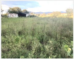  2025Ÿ��42310  �����