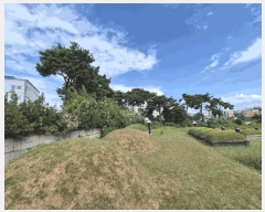  2025Ÿ��42395 ��� ���ý� ������ ������ 217-17      ����(�Ӿ�)���