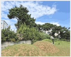  2025Ÿ��42395 ��� ���ý� ������ ������ 217-17      ����(�Ӿ�)���