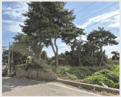  2025Ÿ��42395 ��� ���ý� ������ ������ 217-17      ����(�Ӿ�)���