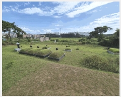  2025Ÿ��42395 ��� ���ý� ������ ������ 217-17      ����(�Ӿ�)���