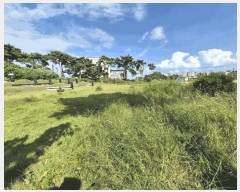  2025Ÿ��42395 ��� ���ý� ������ ������ 217-17      ����(�Ӿ�)���