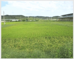  2025Ÿ��42523 ��� �ȼ��� ����� ��� 403-3      ����(��)���