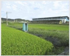  2025Ÿ��42523 ��� �ȼ��� ����� ��� 403-3      ����(��)���