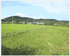  2025Ÿ��42523 ��� �ȼ��� ����� ��� 403-3      ����(��)���