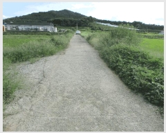  2025Ÿ��42523 ��� �ȼ��� ����� ��� 403-3      ����(��)���