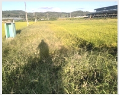  2025Ÿ��42523 ��� �ȼ��� ����� ��� 403-3      ����(��)���