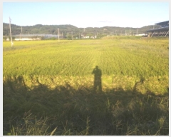  2025Ÿ��42523 ��� �ȼ��� ����� ��� 403-3      ����(��)���