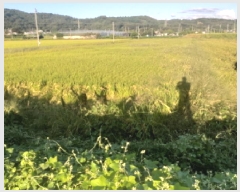  2025Ÿ��42523 ��� �ȼ��� ����� ��� 403-3      ����(��)���