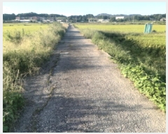  2025Ÿ��42523 ��� �ȼ��� ����� ��� 403-3      ����(��)���