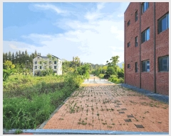  2025Ÿ��42680 ��� ���ý� ������ 2447-10       ����(����)���