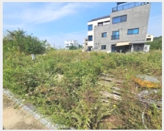  2025Ÿ��42680 ��� ���ý� ������ 2447-10       ����(����)���