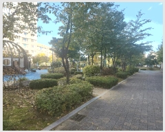  2025Ÿ��42736 ��� ���ý� �׹鵿 737 ���üһ��ȣ�ݺ������ 1106�� 17��1703ȣ    ����Ʈ���