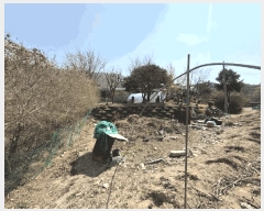  2025Ÿ194  õ  Ǹ 699-4      ()