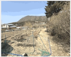  2025Ÿ194  õ  Ǹ 699-4      ()