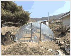  2025Ÿ194  õ  Ǹ 699-4      ()