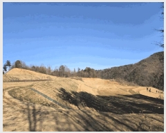  2025Ÿ��316 ���� ȫõ�� ���� �ݰ ��89      ����(�Ӿ�)���