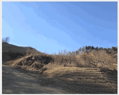  2025Ÿ��316 ���� ȫõ�� ���� �ݰ ��89      ����(�Ӿ�)���