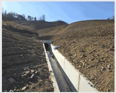  2025Ÿ��316 ���� ȫõ�� ���� �ݰ ��89      ����(�Ӿ�)���