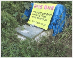  2025Ÿ��491 ���� ��õ�� ĥ���� 452-10       ����(��1)���