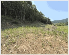  2025Ÿ507  õ  Ǹ 45      (1)