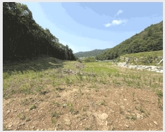  2025Ÿ507  õ  Ǹ 45      (1)