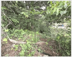  2025Ÿ507  õ  Ǹ 45      (1)