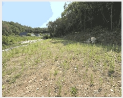  2025Ÿ507  õ  Ǹ 45      (1)