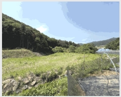  2025Ÿ507  õ  Ǹ 45      (1)