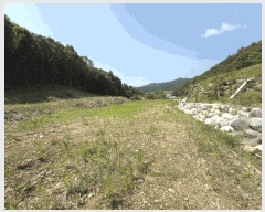  2025Ÿ507  õ  Ǹ 45      (1)