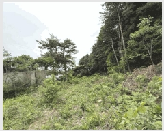  2025Ÿ507  õ  Ǹ 45      (1)