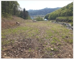  2025Ÿ507  õ  Ǹ 45      (1)