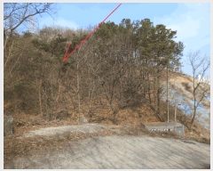  2025Ÿ552  õ  õ 95-4      (1)