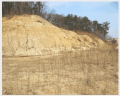  2025Ÿ552  õ  õ 95-4      (1)