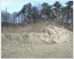  2025Ÿ552  õ  õ 95-4      (1)