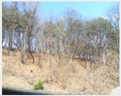  2025Ÿ552  õ  õ 95-4      (1)