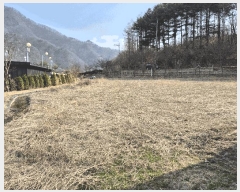  2025Ÿ��637 ���� ȫõ�� ���� �����ϸ� 235-1      ���(ķ����)���