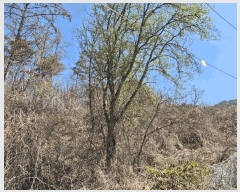  2025Ÿ��675 ���� �籸�� �籸�� ������ ��172      ����(�Ӿ�)���