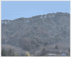  2025Ÿ��675 ���� �籸�� �籸�� ������ ��172      ����(�Ӿ�)���