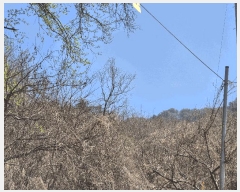  2025Ÿ��675 ���� �籸�� �籸�� ������ ��172      ����(�Ӿ�)���