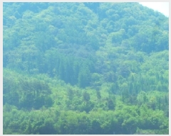  2025Ÿ��675 ���� �籸�� �籸�� ������ ��172      ����(�Ӿ�)���