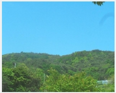  2025Ÿ��675 ���� �籸�� �籸�� ������ ��172      ����(�Ӿ�)���