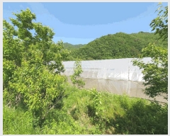  2025Ÿ750  ȫõ   1067      ð