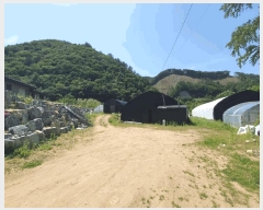  2025Ÿ750  ȫõ   1067      ð