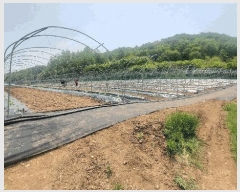  2025Ÿ910  ȫõ Ϲ  477      (1)